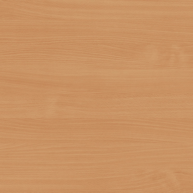 BAVARIA BEECH – 0381