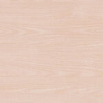 Falco ABS traka Snežni jasen F440 (42x02)